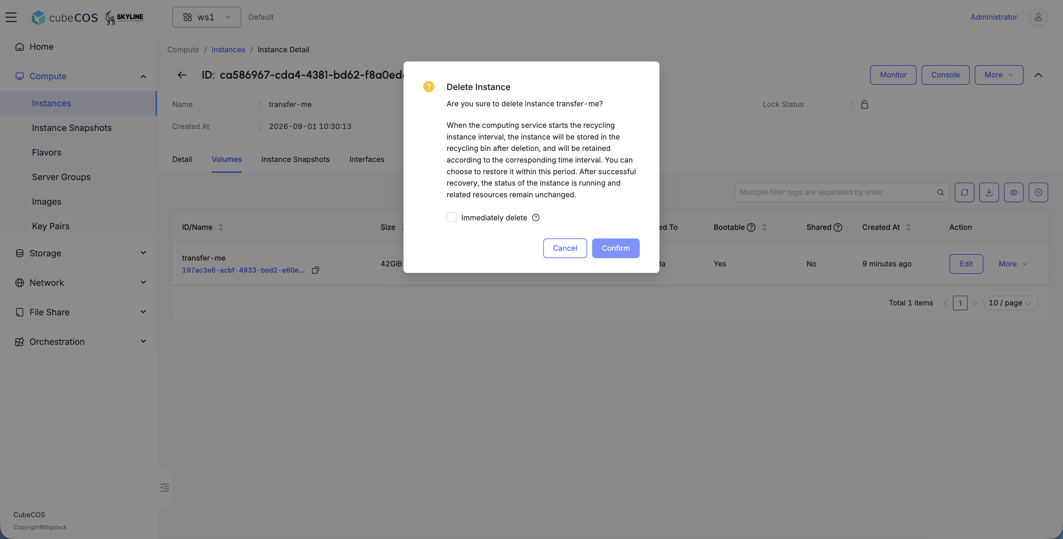 block-storage-transfer-volume-5-delete_instance