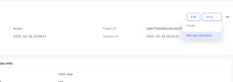 vtpm virtual machine more metadata dropdown options